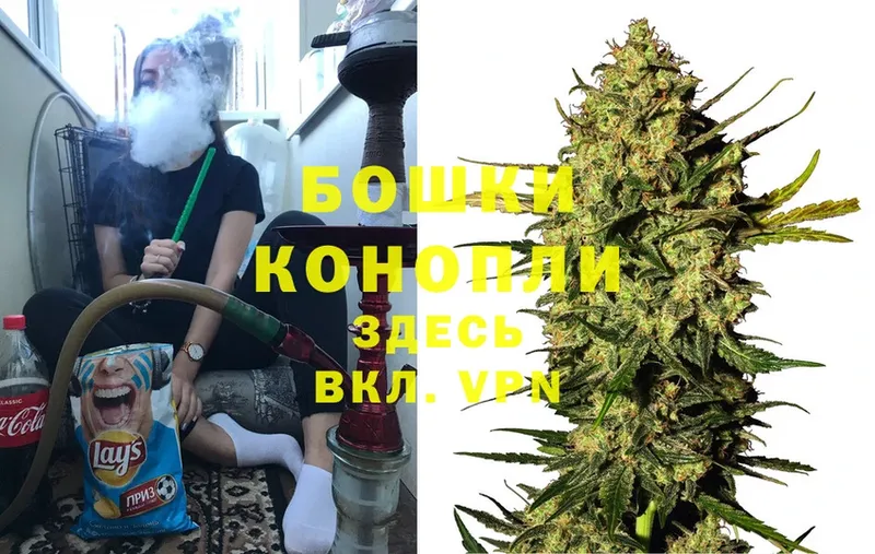 blacksprut сайт  Новодвинск  Марихуана White Widow  наркотики 